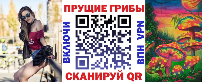 omg как войти  Нововоронеж  Псилоцибиновые грибы мицелий 
