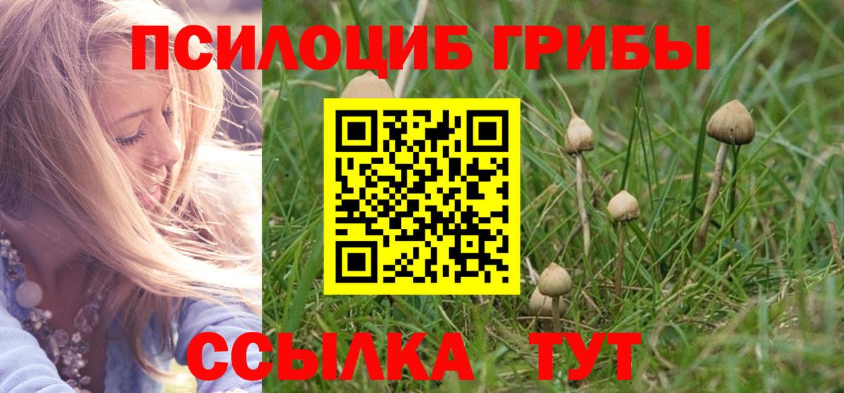 Галлюциногенные грибы MAGIC MUSHROOMS Нововоронеж