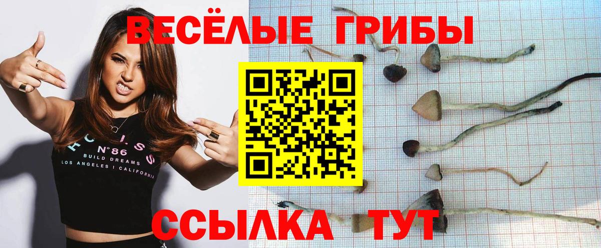 Псилоцибиновые грибы мицелий  Вход с VPN  Псилоцибиновые грибы ЛСД  магазин продажи   Нововоронеж 