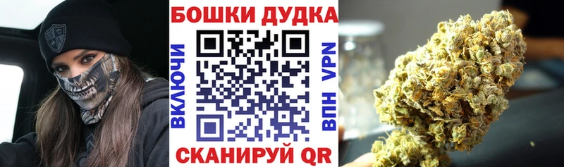 Марихуана семена Нововоронеж